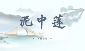 《泥中莲》全两期完整版广播剧-精选剧库