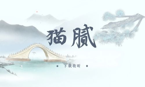  《猫腻》全三期完整版广播剧-精选剧库
