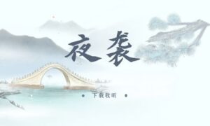 《夜袭》全一期完整版广播剧-精选剧库