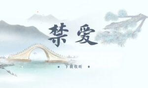 《禁爱》全一期完整版广播剧-精选剧库