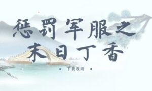 《惩罚军服之末日丁香》全一期完整版广播剧-精选剧库