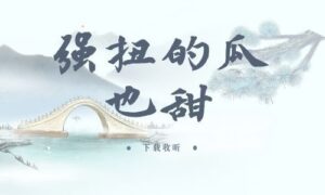 《强扭的瓜也甜》全四期完整版广播剧-精选剧库