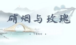 《硝烟与玫瑰》全两期完整版广播剧-精选剧库