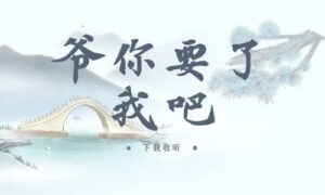 《爷,你要了我吧》全一期完整版广播剧-精选剧库
