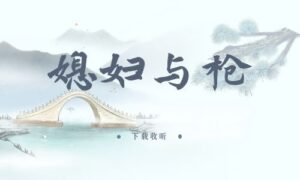 《媳妇与枪》全一期完整版广播剧-精选剧库